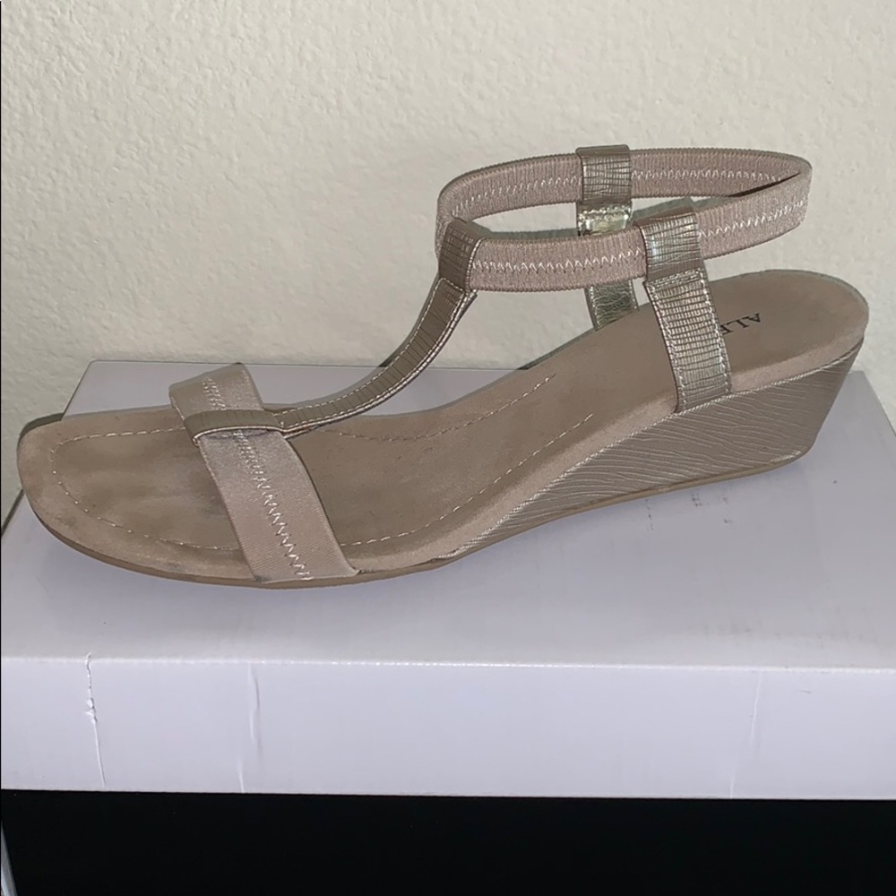 Women’s shoes